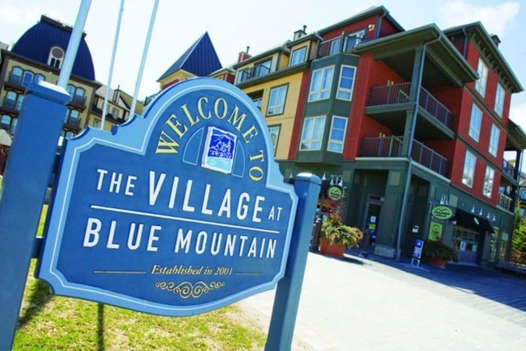 Blue Mountain Suites Блу-Маунтинс Экстерьер фото